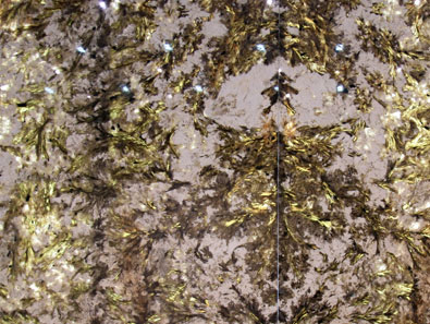 孔雀开屏(背光效果)