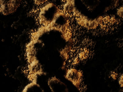 孔雀玉（背透光）